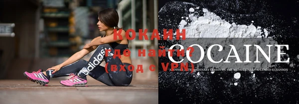 гидра Богданович