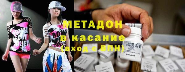 индика Сосновый Бор