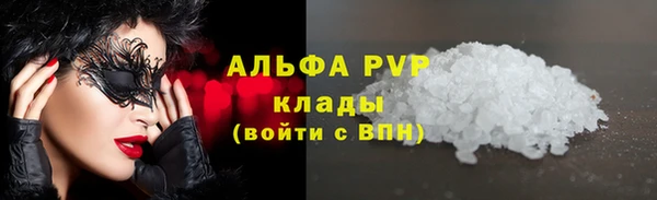 прущие грибы Беломорск