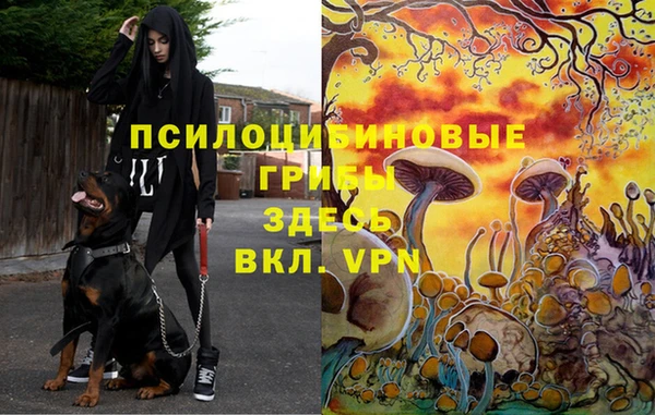 метадон Белоозёрский