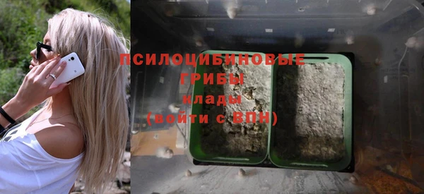 стаф Балабаново