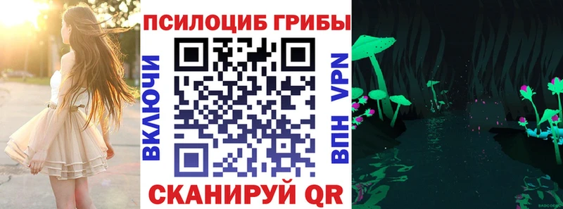 хочу   Бирск  Галлюциногенные грибы Cubensis 