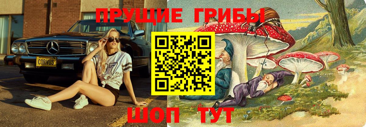 Псилоцибиновые грибы Psilocybine cubensis  Галлюциногенные грибы прущие грибы  купить  цена  Вход с VPN  Бирск 